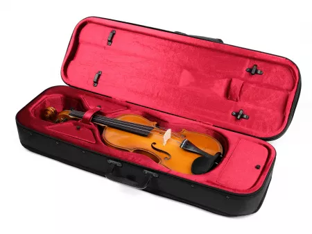 Beginer Genial 2 Nitro Скрипка 4/4 с чехлом, Gliga, B-V044-Set