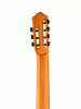 Family Series Pro Классическая 7-струнная гитара, Ortega, R133-7