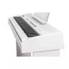 438PIA0704 Stage Studio Цифровое пианино, белое, со стойкой Orla