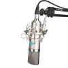 Микрофон конденсаторный студийный, Alctron, MC002S