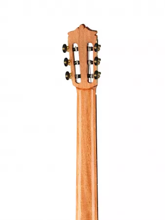 Special Series Классическая гитара, Martinez, Contra-Bass
