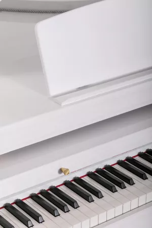 Цифровой рояль, с автоаккомпанементом, белый (2 коробки), Orla, Grand-500-WHITE