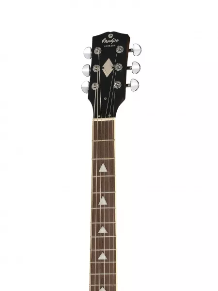 Электрогитара GS300, коричневая, Prodipe, JMFGS300BRNC  рис.2 