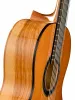 Classical Conservatory 6 Olivo Классическая гитара, Alhambra, 8.890V