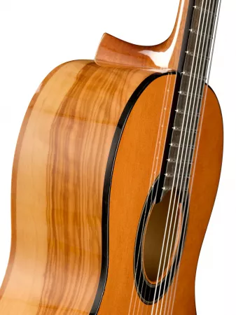 Classical Conservatory 6 Olivo Классическая гитара, Alhambra, 8.890V