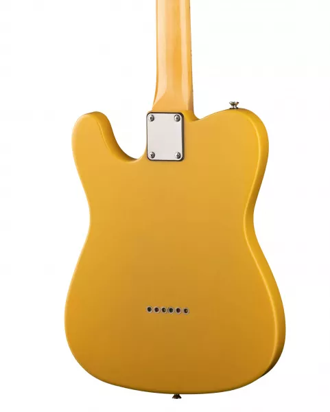 Электрогитара TC80MA, желтая, Prodipe, JMFTC80MABS  рис.2 