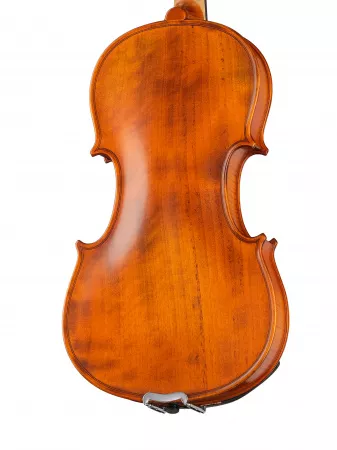 Professional Gama Unique Willow Скрипка 4/4, Gliga, PU-V044-GI