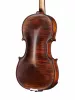 Professional Gama Special Скрипка 4/4, Gliga, P-V044-F