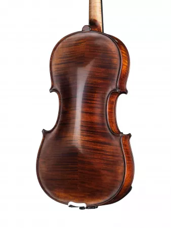 Professional Gama Special Скрипка 4/4, Gliga, P-V044-F