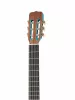 Классическая гитара, синяя, глянцевая, Presto, GC-BL20-G