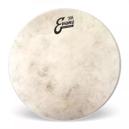 Calftone Набор пластиков и аксессуаров для малого барабана 14", Evans, ESTUK-14C7-1