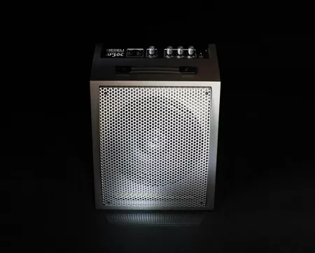 AP30C Комбоусилитель для ударной установки, 30Вт, Medeli