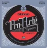 EJ45TT ProArte DynaCore Комплект струн для классической гитары, титан, норм. натяжение, D'Addario