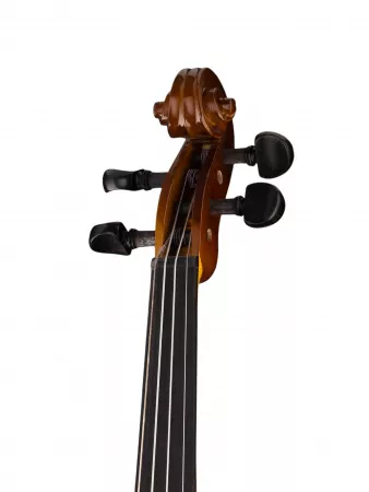 Siena Скрипка студенческая 4/4, Strunal, 160A-4/4