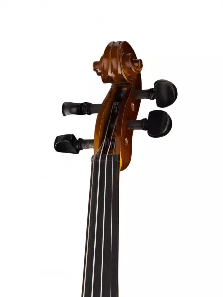 Siena Скрипка студенческая 4/4, Strunal, 160A-4/4  рис.2 