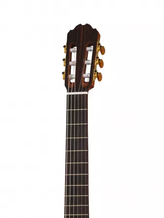 Performer Series Rondo Классическая гитара, со звукоснимателем, Kremona, R65CW-TL