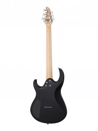 Электрогитара, черная, Inspector, Phoenix-6-black