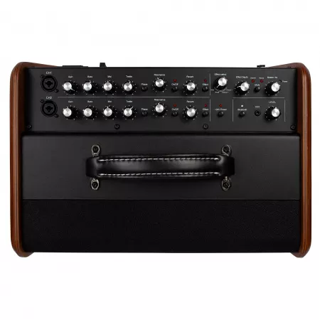 Acoustic Solutions ASG-8 Wood Комбоусилитель для акустической гитары, 120Вт, Godin, 050154
