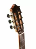 Special Series Классическая гитара, Martinez, Contra-Bass