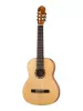 Family Series Pro Классическая 7-струнная гитара, Ortega, R133-7