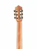 Flamenco Series Классическая гитара, Martinez, MFG-RS
