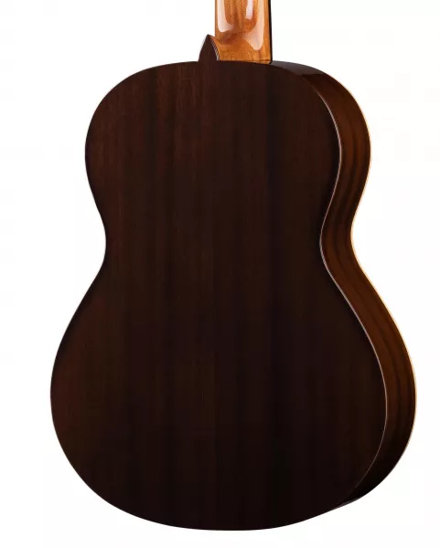Classical Student 1C Классическая гитара 4/4, Alhambra, *802-1С  рис.2 