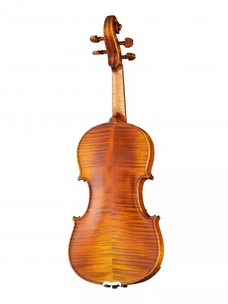 Professional Gama Genova Скрипка 4/4, Gliga, PG-V044-A  рис.2 