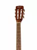 Standard Series Электро-акустическая гитара, Cort, AF590MF-OP