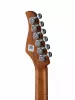 Электрогитара с встроенным процессором, серебристая, GTRS, P800-Professional-800-DS