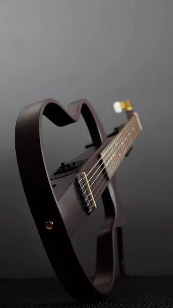 SG5 Сайлент-гитара, темно-коричневая, MIG Guitars, SG5-SN24  рис.2 
