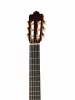 Классическая гитара Soloist 700 4/4, Prodipe, JMFSOLOIST700