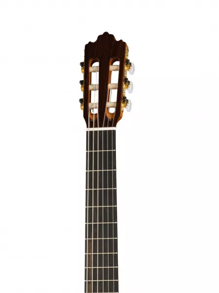 Классическая гитара Soloist 700 4/4, Prodipe, JMFSOLOIST700  рис.2 