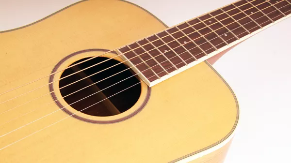 PW-410-Mini-NS Акустическая гитара, с чехлом, матовая, Parkwood