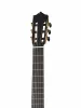 Flamenco Series Классическая гитара, Martinez, MFG-AS