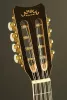 ULU8E Укулеле тенор 8-струнное с звукоснимателем Hohner