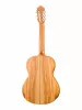 Classical Conservatory 6 Olivo Классическая гитара, Alhambra, 8.890V