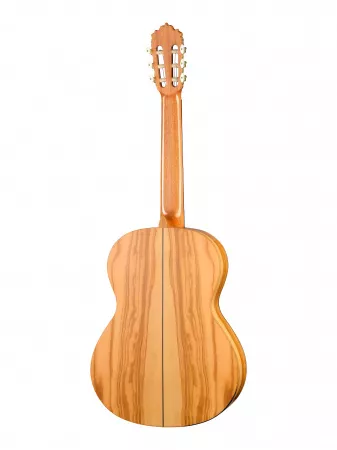 Classical Conservatory 6 Olivo Классическая гитара, Alhambra, 8.890V