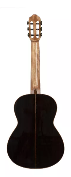 Классическая гитара, Martinez, Torres-650-RS  рис.2 