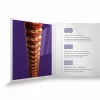 XS Комплект струн для акустической гитары, фосфорная бронза, 11-52, D'Addario, XSAPB1152