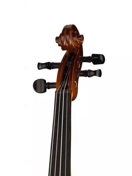 Siena Скрипка студенческая 1/2, Strunal, 160A-1/2  рис.2 