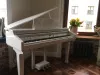 Цифровой рояль, с автоаккомпанементом, белый (2 коробки), Orla, Grand-120-WHITE