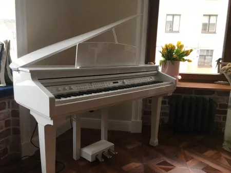 Цифровой рояль, с автоаккомпанементом, белый (2 коробки), Orla, Grand-120-WHITE