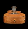 Horizon Series Укулеле концертный, со звукоснимателем, с чехлом, манго, Ortega, RUMG-CE